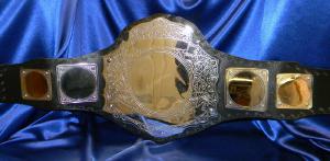 custom championship title stock belt