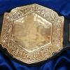 vicious gold with deep etching and engraving stock belt for corporate sales awards and unique awards with this championship belt, you can even use it for a fantasy football custom belt