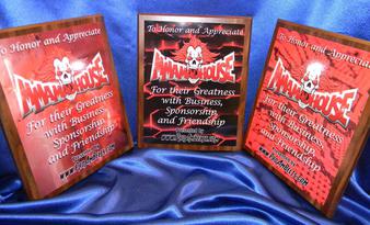 custom plaque medallions mma boxing wrestling trophy