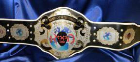world wrestling custom championship ROD tag team belt proambelts