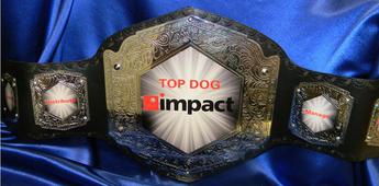 top dog vicious chrome championship world title belt proambelts