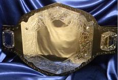 vicious chrome championship  title belt proambelts