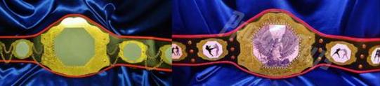 grim reaper angel custom world championship title belt