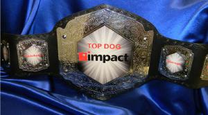 vicious chrome top dog championship ceo sales trophy award proambelts