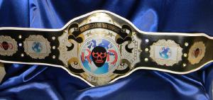 wrestling world championship title belt