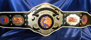 karate custom championship title belt award 