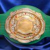 Traditional boxing style green strap and thick plates being a two tone of gold and silver make this the hottest item for boxing promotions, but now we also offer it as a stock option and we can customize this green belt with the green strap !