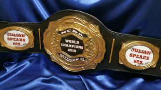 baseball championship title belt trophy award