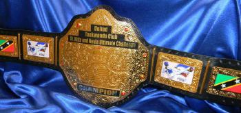 taekwondo martial arts championship custom heavyweight belt