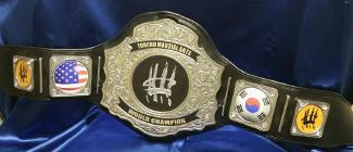 martial arts custom championship title belt award trophy