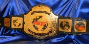 rdw heavyweight wrestling replica custom championship title belt