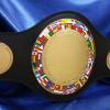 This is the standard duty of Hermes, with NO vertical bars in between the plates.This belt is awesome and has the world flags surrounding the centerplate