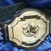 Economy style and 10 nameplates
Customize the top and bottom banners on the centerplate with wording. Contact us so we can do a layout for you for this juggernaut custom championship fantasy football title belt.