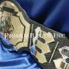 Economy style fantasy football championship title belt with a chrome finish. You have 10 name plates for 10 years worth of fantasy football winners!