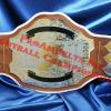 economy style brown strap football championship belt