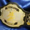 sports awards trophy medal fantasy winner competition championship title belt proambelts