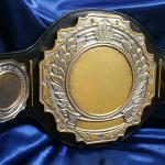poseidon 02 tone version custom mma boxing belt that is a hot new item with an embossed leather strap and is on sale and is heavy! contact to customize this belt