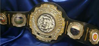title belt fantasy football mvp award trophy title belt