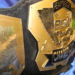 wrestling replica custom championship title belt world award tag team tna tne wwf wwe replica