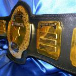 corporate custom championship title belt name plates layered gold brass heavy metal belt proambelts