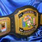 tecmo superbowl nintendo custom championship football belt ! The colors are perfect and  our fantasy football customers were huge fans of Tecmo Super Bowl and everyones favorite player was Bo Jackson!