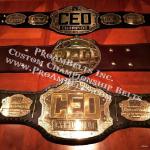I LOVE GOLD ! That pretty much sums this up. CEO video game tournament specializes in fighting game tournaments and we sponsor this company and make some really badass belts for the video game convention via www.proambelts.com fully custom premier championship heavyweight belt awards 