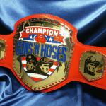 guns and hoses award, firefighters vs police competition trophy, boxing belt for blue vs red 