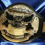 This belt was made specifically for KSU Kennesaw Football team and awarded to the most outstanding players each game, this belt is not for sale/resale for it was specially built for KSU