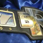bro fantasy football title belt many plates and stack centerplate and special cut centerplate