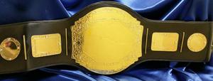 prophet custom championship baseball wrestling football basketball belt award proambelts