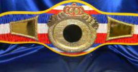 victory die cast championship title belt proambelts cloth firm strap