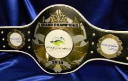 make a wish foundation custom championship title belt