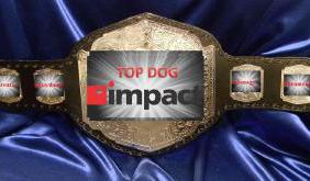 custom championship title belt vicious chrome mma corporate sales wrestling mma boxing