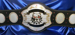 top dog custom championship pitbull mma belt