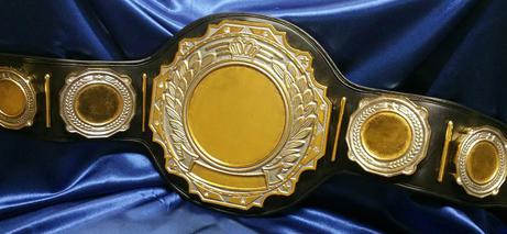 custom championship metal blank belt fast and sale