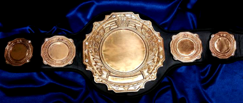 heavyweight tne tagteam title belt