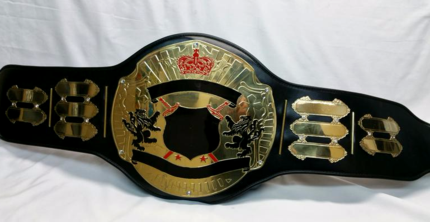 titan championship title belt with detachable nameplates heavyweight world unique award trophy
